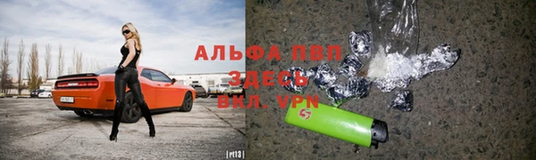 прущие грибы Осташков