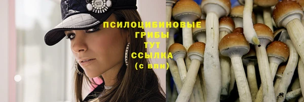 mix Дмитровск