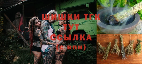крисы Дмитров