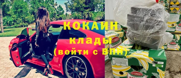 крисы Дмитров