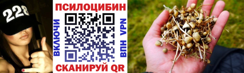 Галлюциногенные грибы Magic Shrooms  Серов 