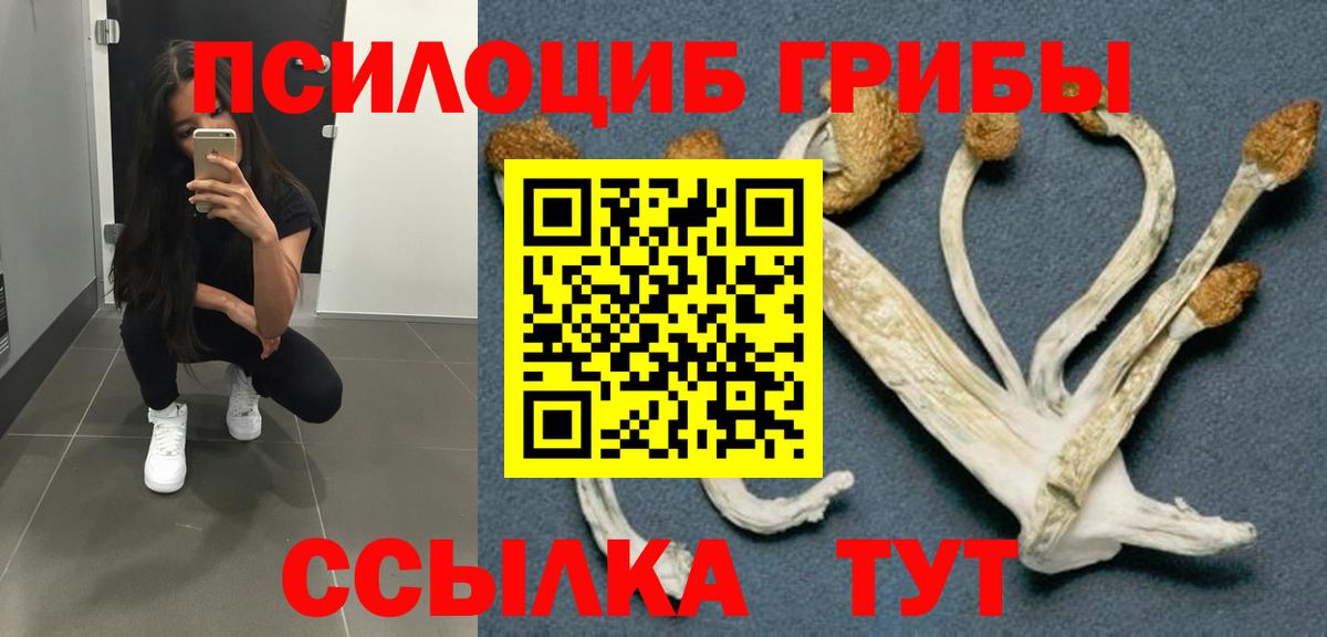 Псилоцибиновые грибы ЛСД  Галлюциногенные грибы GOLDEN TEACHER  Серов 