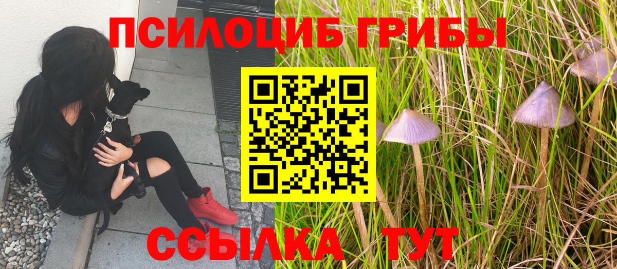 Псилоцибиновые грибы ЛСД Серов