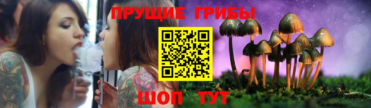 Серов  Галлюциногенные грибы Psilocybe  Вход с VPN 