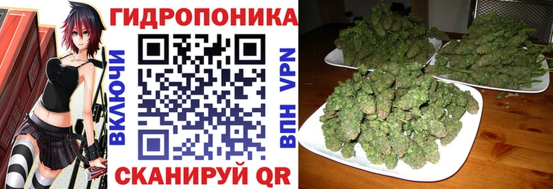 Шишки марихуана гибрид  купить закладку  гидра как войти  Серов 